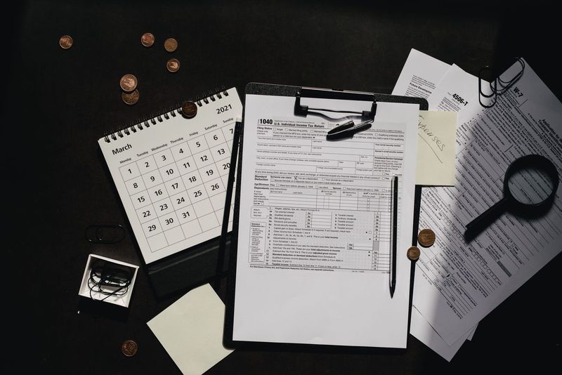 Filing taxes with pet-sitting income for the first time